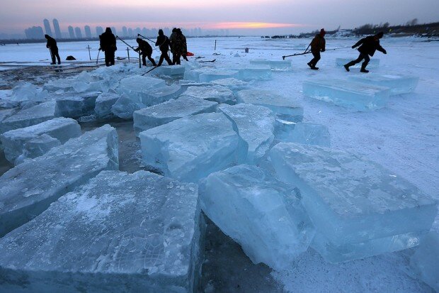 Ледяные глыбы для Ледового фестиваля в Харбине-2015
